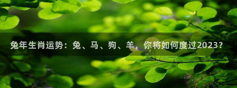 琳琅娱乐加拿大app预测