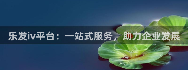 壹号top娱乐