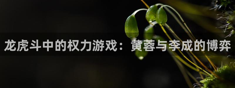 琳琅娱乐官网