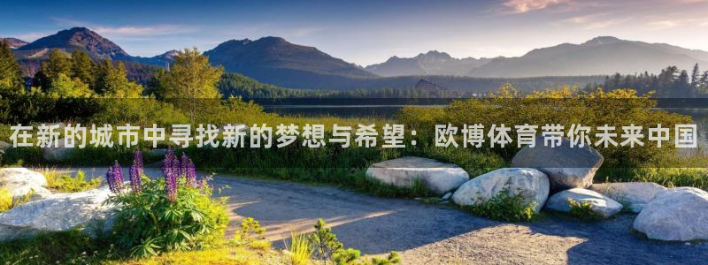 壹号玩家app下载
