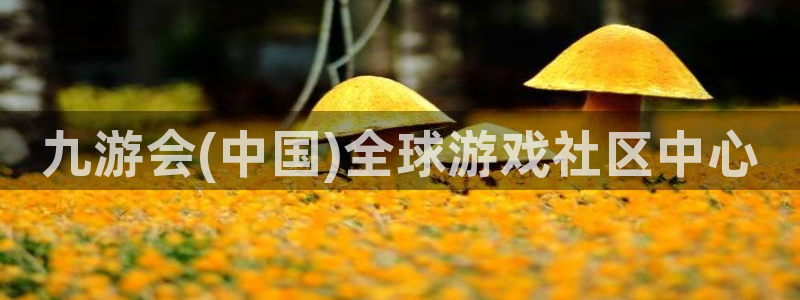 琳琅娱乐注册平台