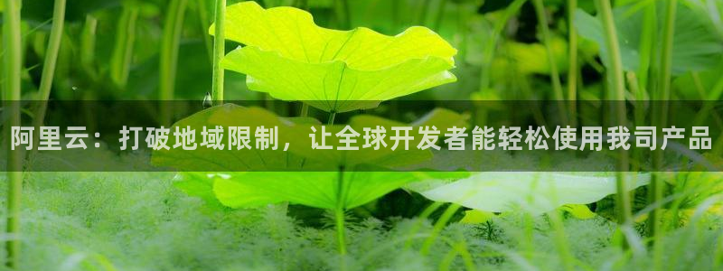 琳琅娱乐,apk：阿里云：打破地域限制，让全球开发者能轻松使用我司产品