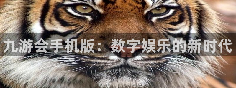 南宫琳琅娱乐