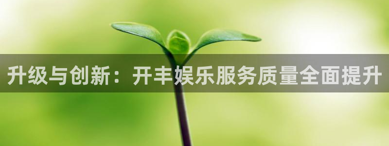 壹号电子娱乐app下载官网