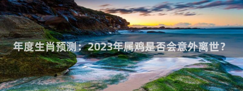 壹号电子娱乐app下载安装