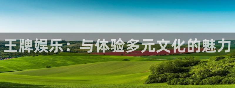 琳琅娱乐vip麻将胡了：王牌娱乐：与体验多元文化的魅力