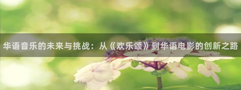 琳琅娱乐,apk.：华语音乐的未来与挑战：从《欢乐颂》到华语电影的创新之路