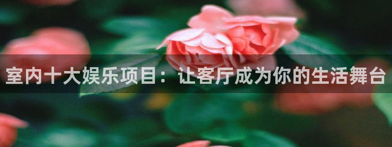琳琅娱乐是赌博吗：室内十大娱乐项目：让客厅成为你的生活舞台