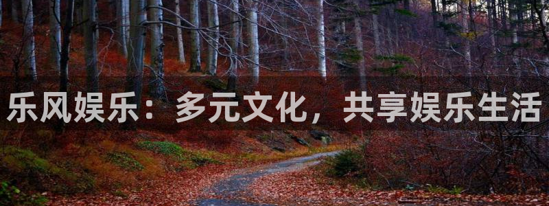 琳琅娱乐官网下载：乐风娱乐：多元文化，共享娱乐生活