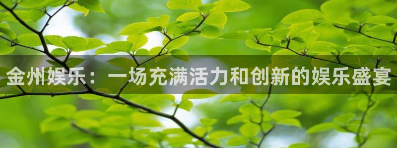 琳琅娱乐.ccmpc29官网版下载：金州娱乐：一场充满活力和创新的娱乐盛宴
