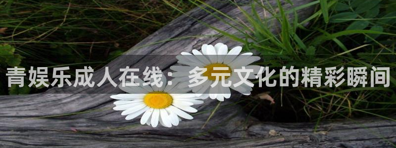 琳琅娱乐app：青娱乐成人在线：多元文化的精彩瞬间